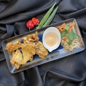 28C. Hjemmelavede wonton med kylling 6 stk